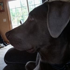 Meet your Posher, Jake